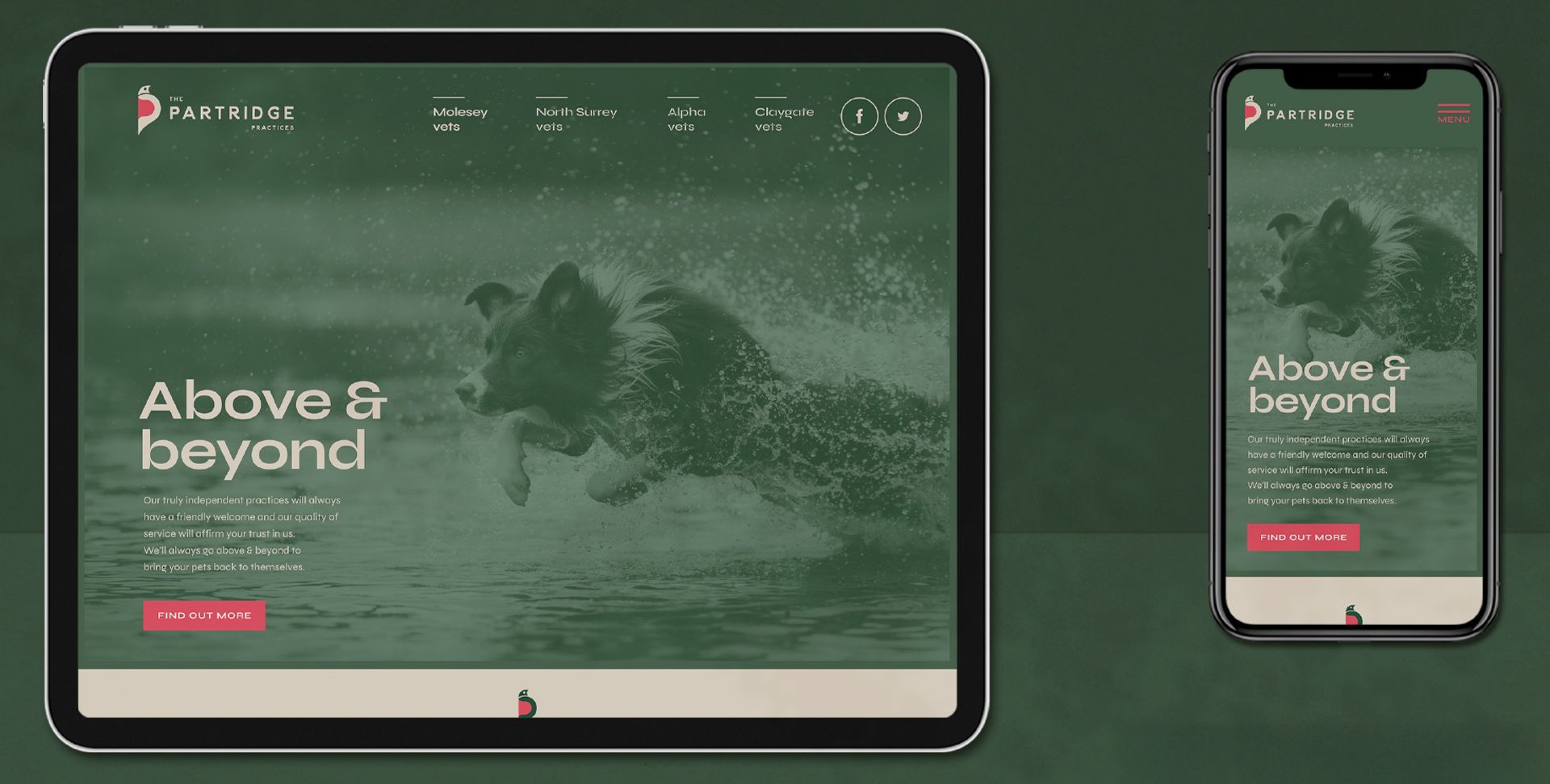 Partridge Practices’ website homepage with a border collie leaping out of water showing on a tablet and a mobile phone